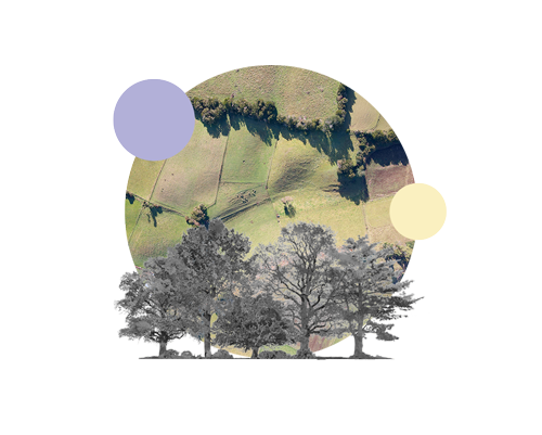 iconos-cifras-3_01
